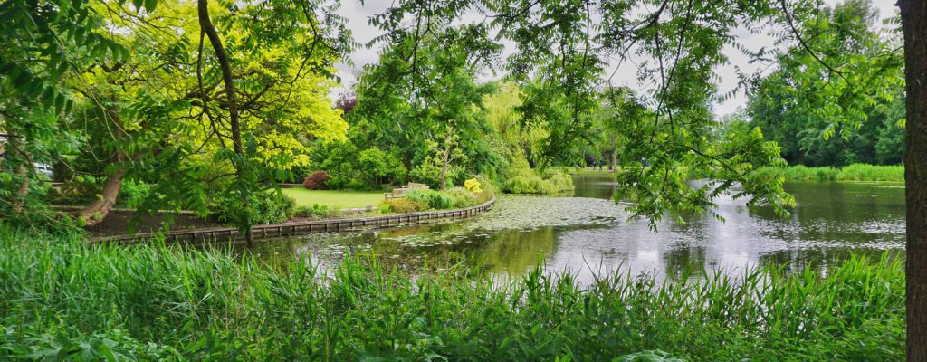 Virtuele wandeling in een park met Rianna Hijlkema