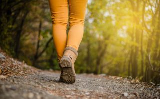The Healing Path: How walking in nature can help you move forward