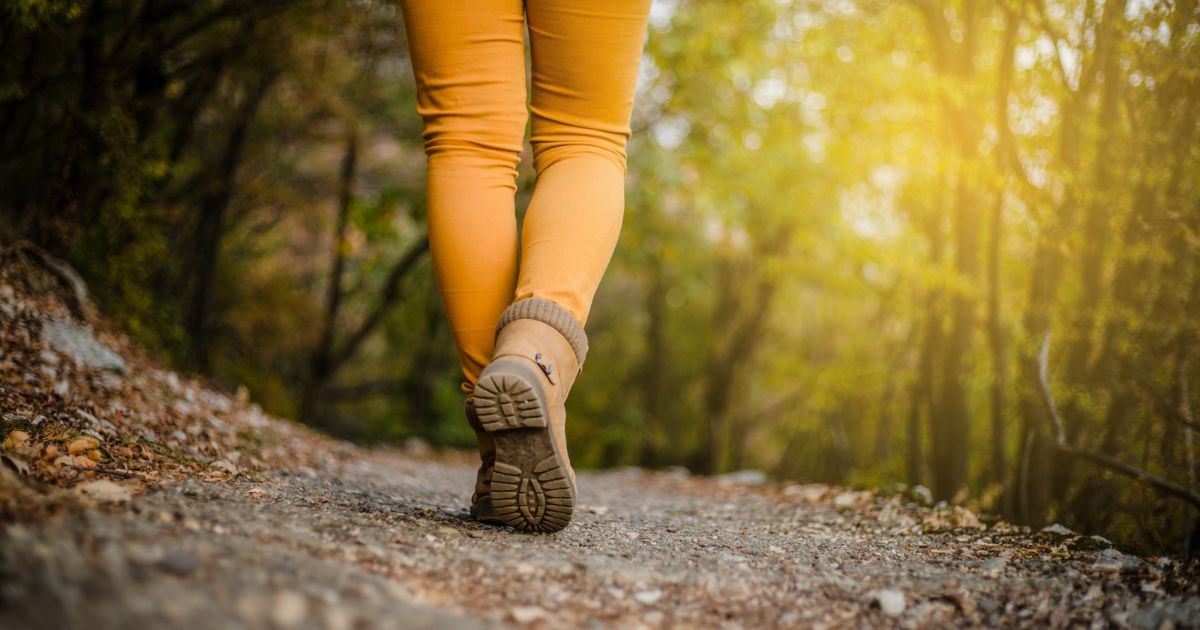 The Healing Path: How walking in nature can help you move forward