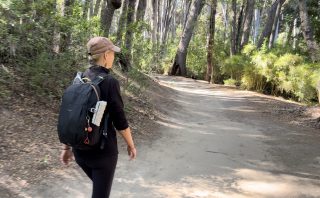 The Hidden Struggle: Coping with Societal Pressure and Judgment as an Involuntarily Childless Woman