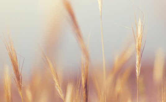 Dealing with Pregnancy Announcements: A Journey with Byron Katie’s Work